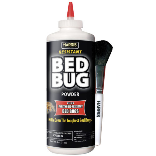 Harris Black Bed Bug powder